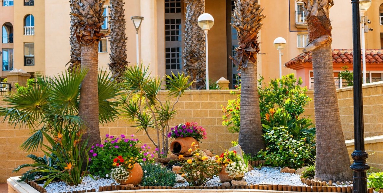 Reventa - Apartament / Duplex -
Torrevieja - Playa de los Locos