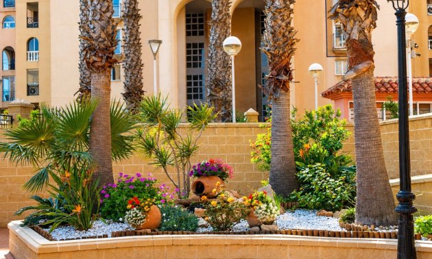 Reventa - Apartament / Duplex -
Torrevieja - Playa de los Locos