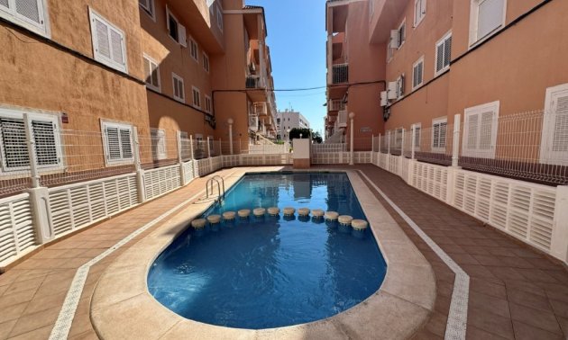 Rynek wtórny - Mieszkanie  -
Torrevieja - Puerto Romano