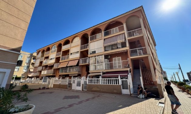 Rynek wtórny - Mieszkanie  -
Torrevieja - Puerto Romano