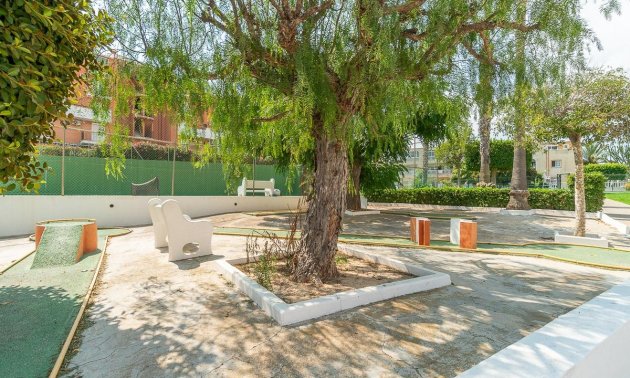 Rynek wtórny - Mieszkanie  -
Torrevieja - Torreblanca