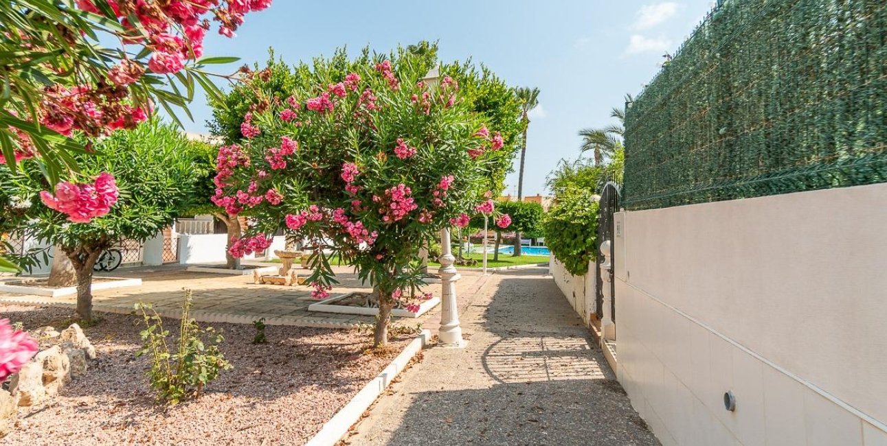 Rynek wtórny - Mieszkanie  -
Torrevieja - Torreblanca