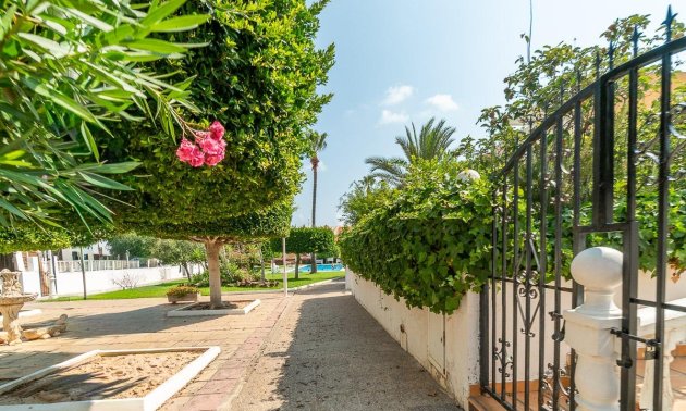 Rynek wtórny - Mieszkanie  -
Torrevieja - Torreblanca