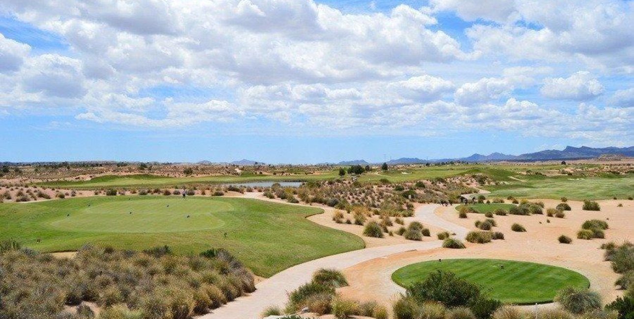 New Build - Villa -
Alhama De Murcia - Condado De Alhama