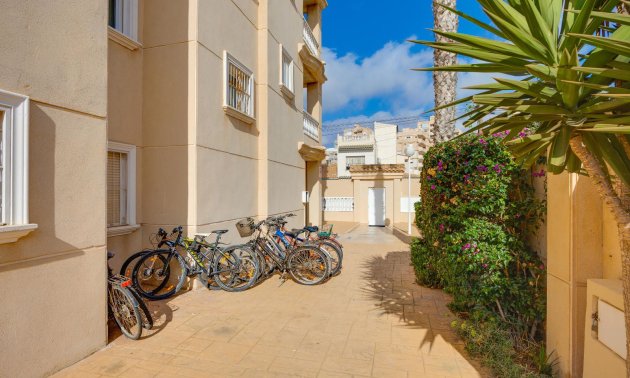 Reventa - Apartamento / piso -
Torrevieja - Nueva Torrevieja