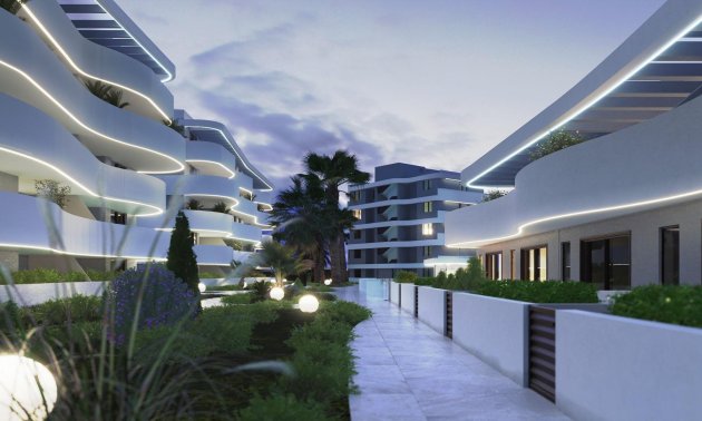 Obra nueva - Apartamento / piso -
Guardamar del Segura - El Raso