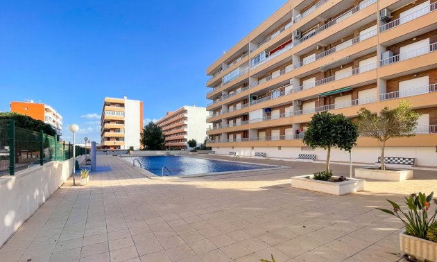 Resale - Apartment / flat -
Torrevieja - Rocio del Mar