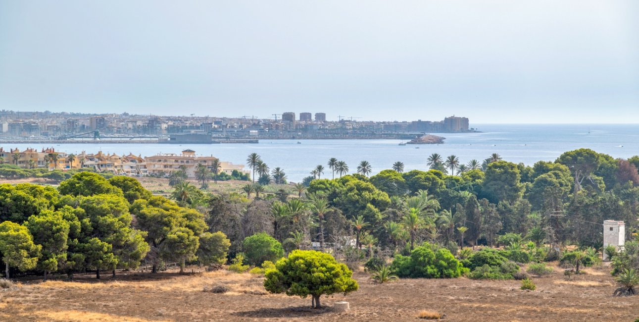 Resale - Apartment / flat -
Torrevieja - Rocio del Mar