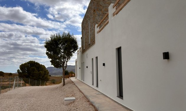 New Build - Villa -
Pinoso - Casas Pastor