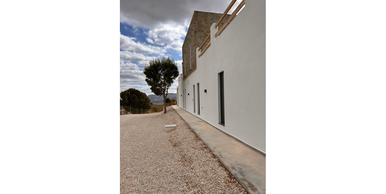 New Build - Villa -
Pinoso - Casas Pastor
