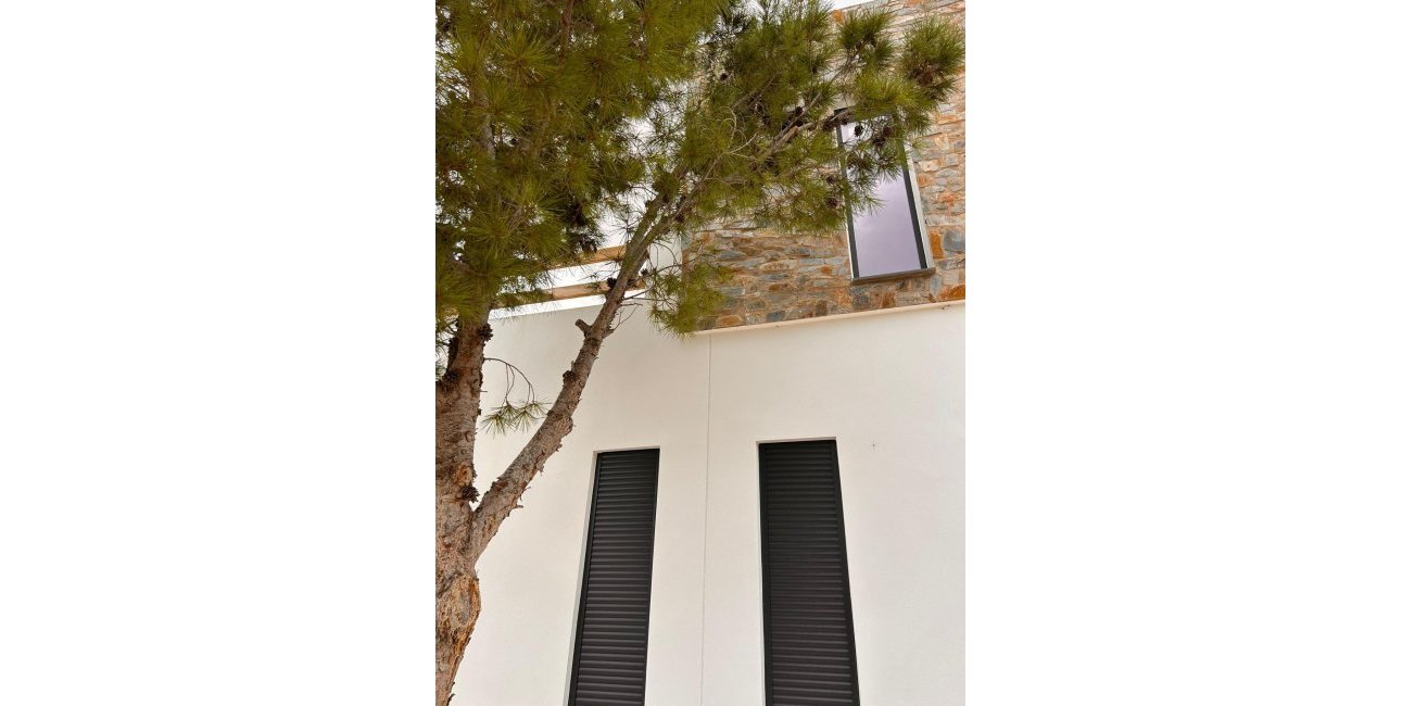 New Build - Villa -
Pinoso - Casas Pastor