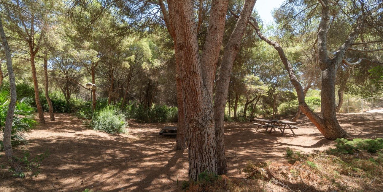 Resale - Apartment / flat -
Orihuela Costa - Altos de Campoamor