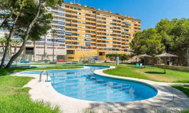 Resale - Apartment / flat -
Orihuela Costa - Altos de Campoamor