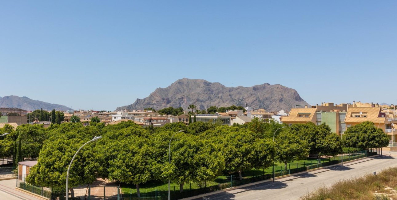 Obra nueva - Villa -
Rafal - pueblo