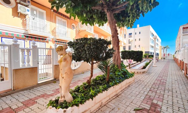 Reventa - Apartamento / piso -
Torrevieja - Torre La Mata