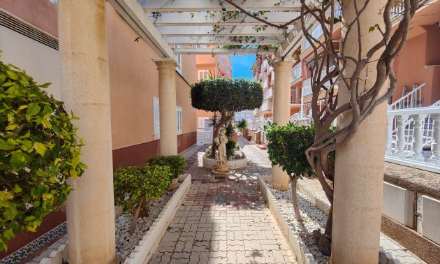 Reventa - Apartamento / piso -
Torrevieja - Torre La Mata