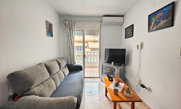Rynek wtórny - Mieszkanie  -
Torrevieja - Torrevieja - Centre