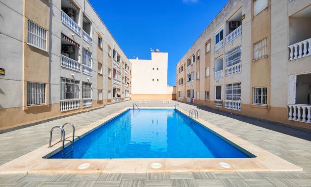 Rynek wtórny - Mieszkanie  -
Torrevieja - Torrevieja - Centre