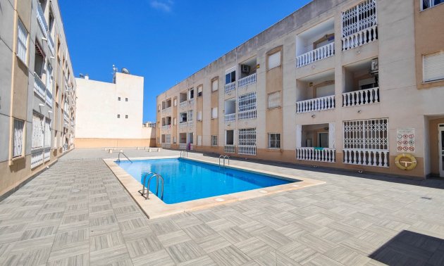 Rynek wtórny - Mieszkanie  -
Torrevieja - Torrevieja - Centre
