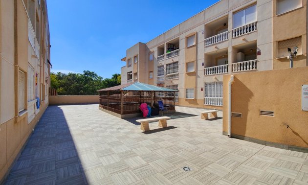 Rynek wtórny - Mieszkanie  -
Torrevieja - Torrevieja - Centre