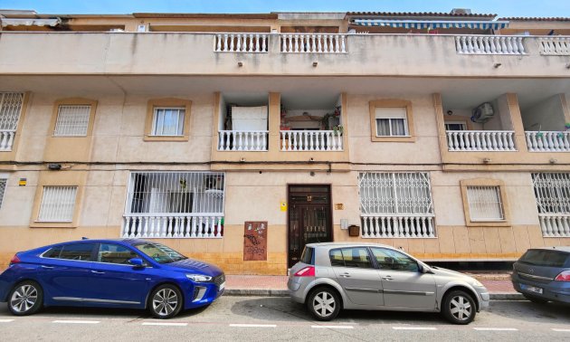 Rynek wtórny - Mieszkanie  -
Torrevieja - Torrevieja - Centre