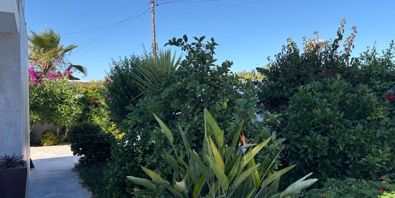 Resale - Villa / House -
Torrevieja - La Siesta