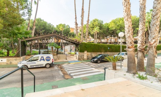 Reventa - Apartamento / piso -
Orihuela Costa - Campoamor