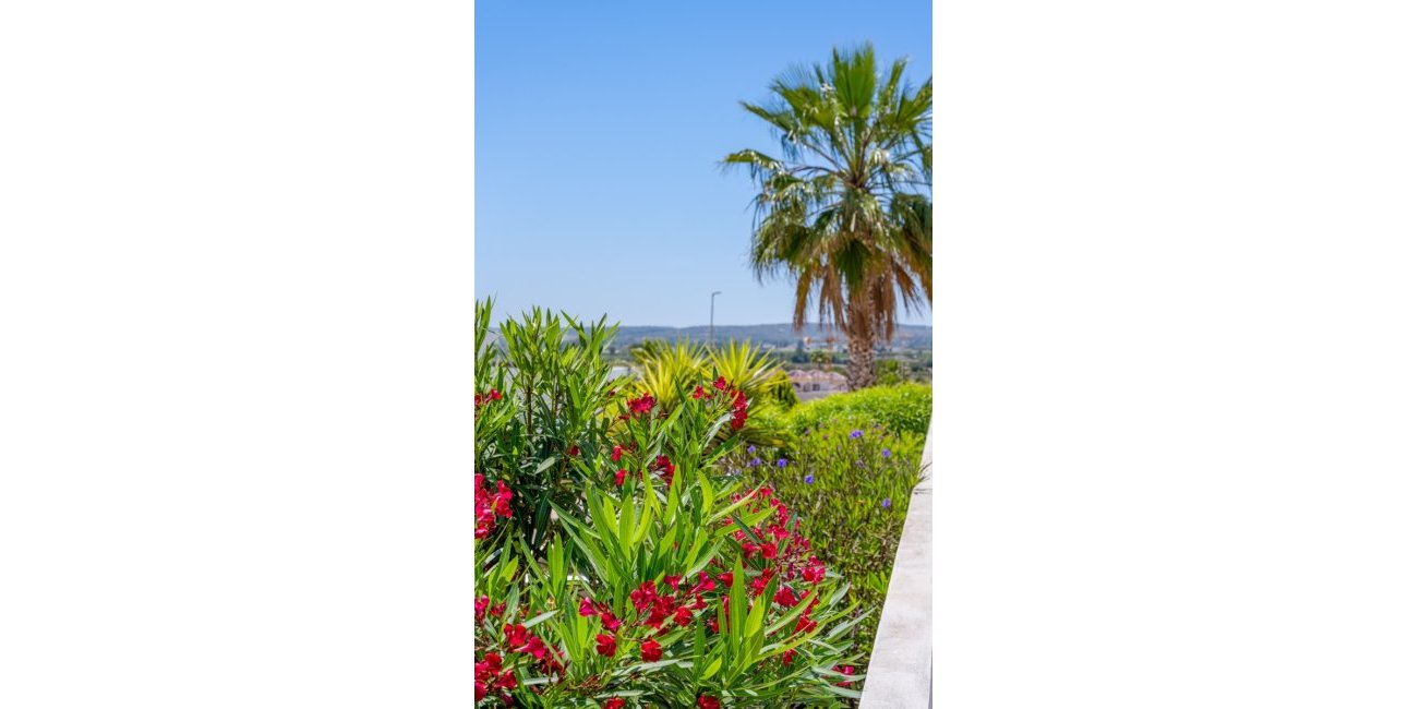Resale - Villa -
La Marina - La Marina - Urbanization