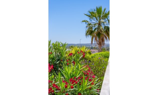 Resale - Villa -
La Marina - La Marina - Urbanization