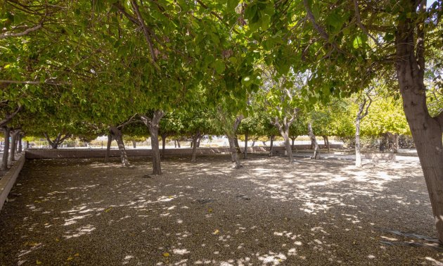 Resale - Bungalow -
Torrevieja - Playa de los Naufragos