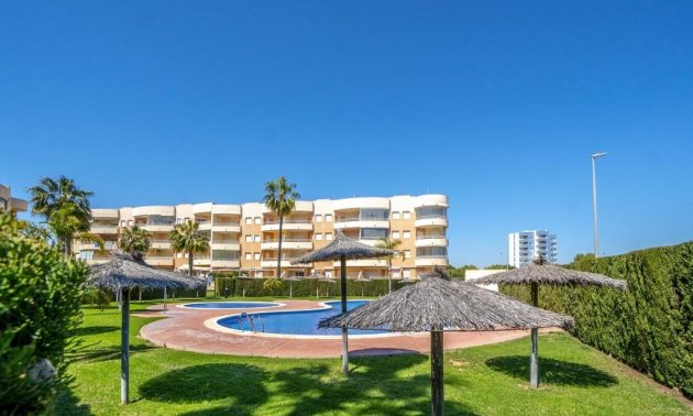 Resale - Apartment / flat -
Dehesa de campoamor - Campoamor