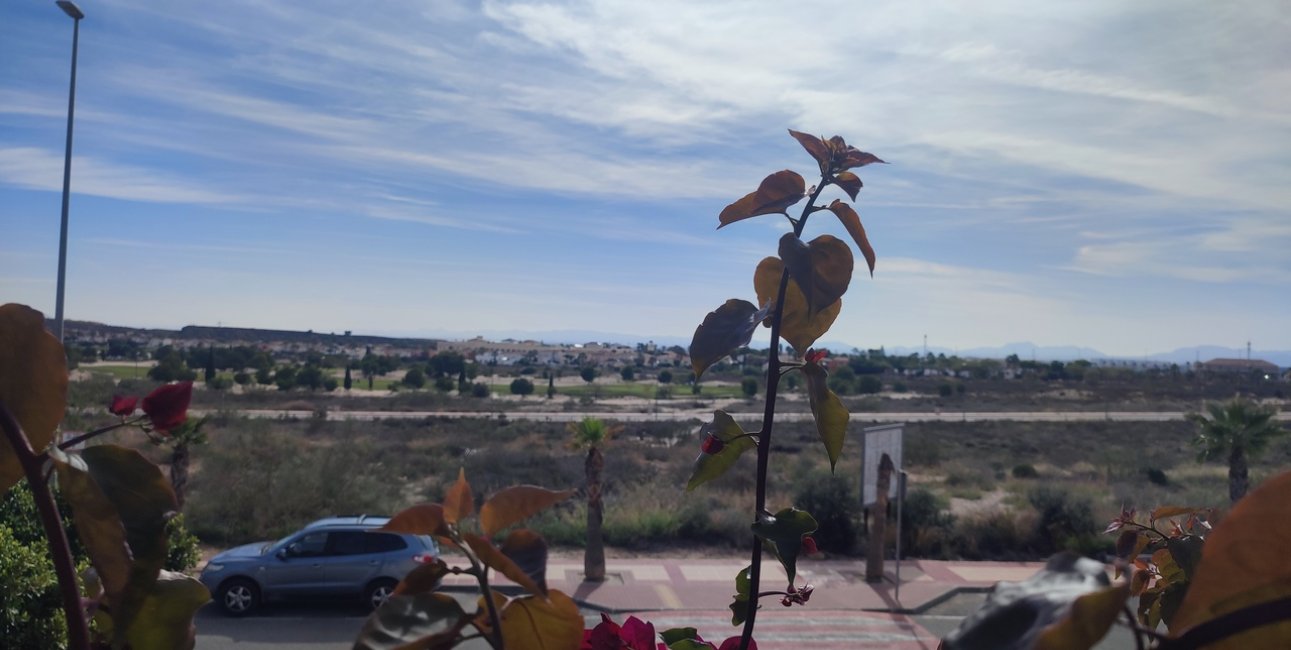 Resale - Apartment / flat -
Altaona Golf - Country Village