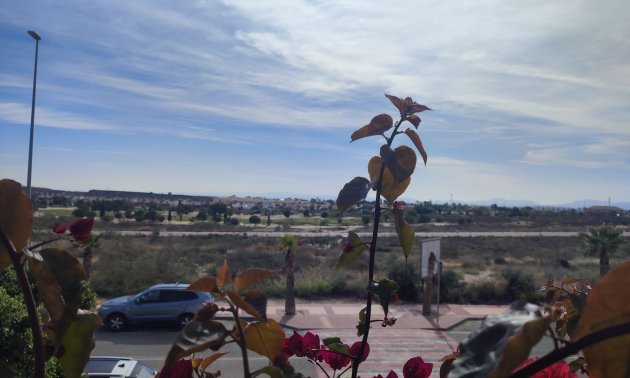 Resale - Apartment / flat -
Altaona Golf - Country Village