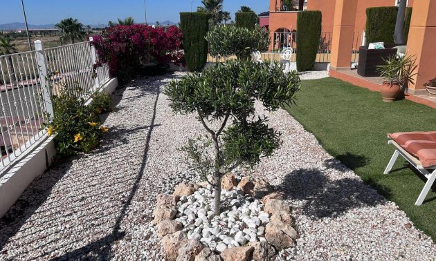 Resale - Apartment / flat -
Altaona Golf - Country Village