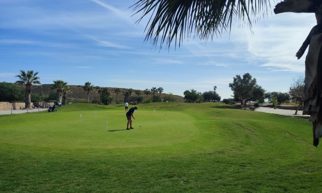 Resale - Apartment / flat -
Altaona Golf - Country Village