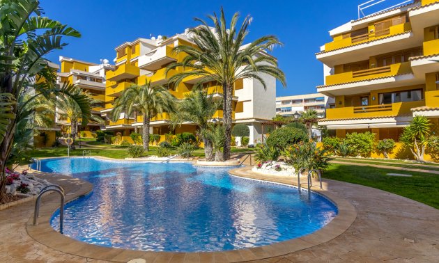 Resale - Apartment / flat -
Torrevieja - Punta prima