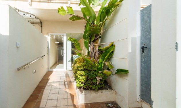 Reventa - Apartamento / piso -
Guardamar del Segura - Guardamar
