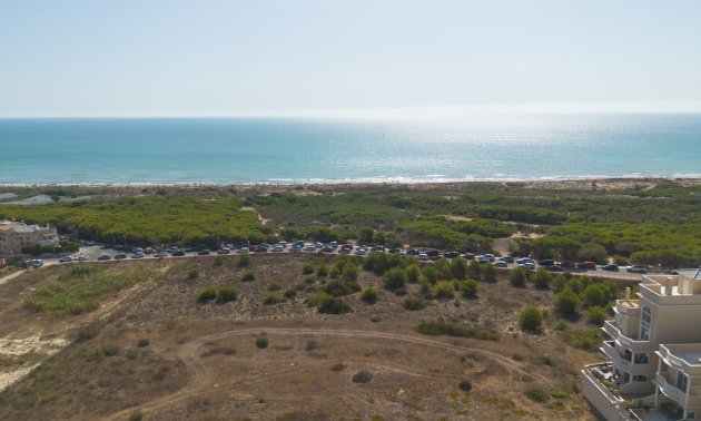 Resale - Apartment / flat -
Guardamar del Segura - Campomar