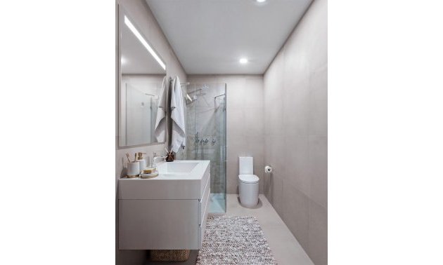 New Build - Penthouse -
Fuente Álamo - La Pinilla