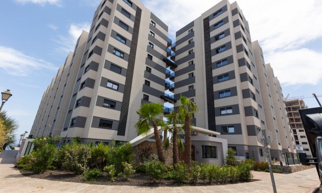 Resale - Apartment / flat -
Torrevieja - Punta prima