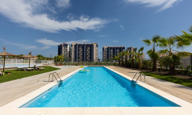 Resale - Apartment / flat -
Torrevieja - Punta prima