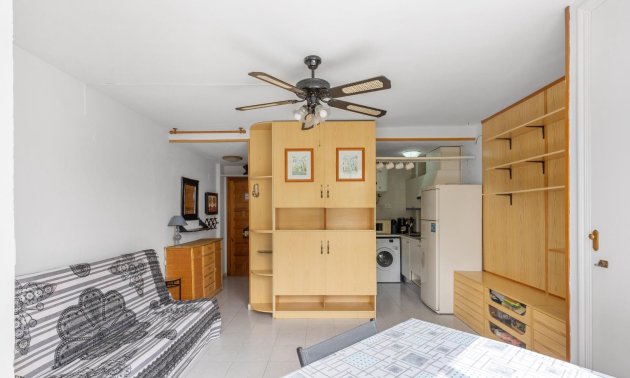 Resale - Study -
Torrevieja - Torreblanca