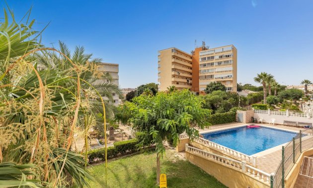 Resale - Study -
Torrevieja - Torreblanca