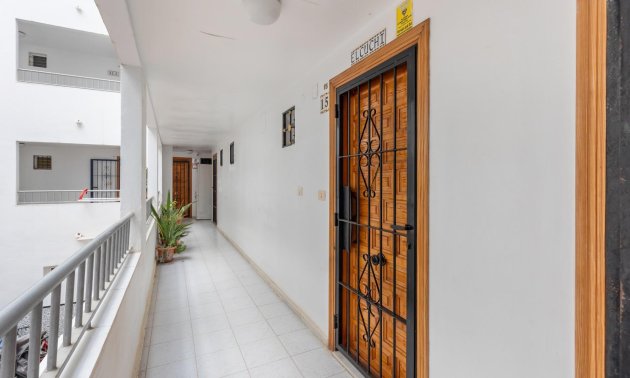Resale - Study -
Torrevieja - Torreblanca