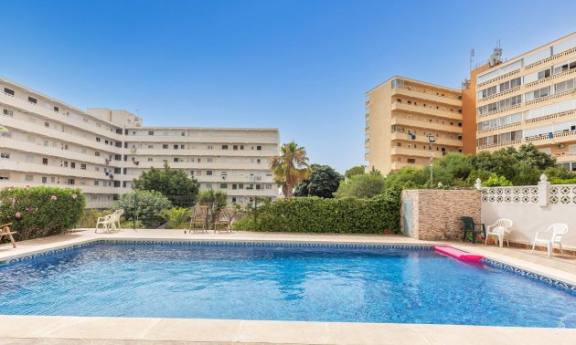 Resale - Study -
Torrevieja - Torreblanca