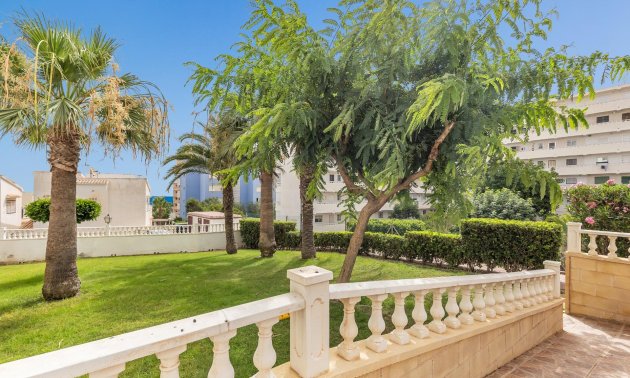 Resale - Study -
Torrevieja - Torreblanca