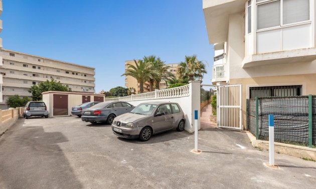 Resale - Study -
Torrevieja - Torreblanca