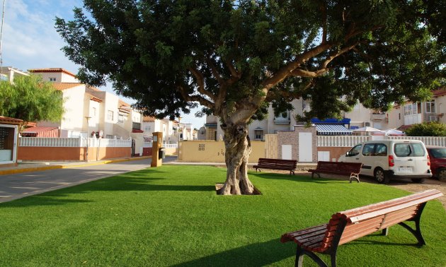 Rynek wtórny - Mieszkanie  -
Orihuela Costa - Playa Flamenca