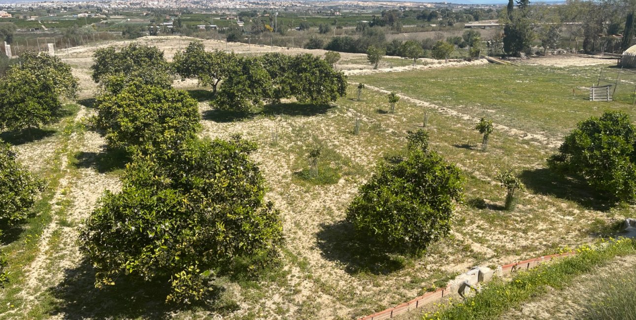Reventa - Finca -
Rojales - Rojales - Country