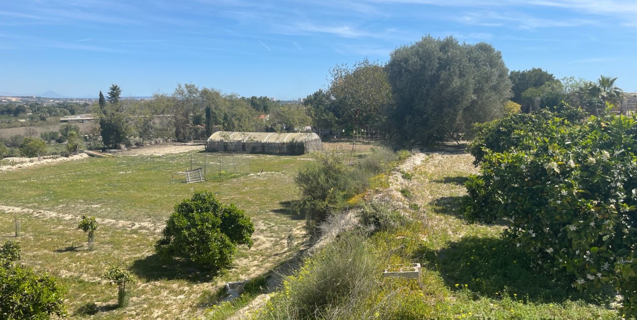 Reventa - Finca -
Rojales - Rojales - Country